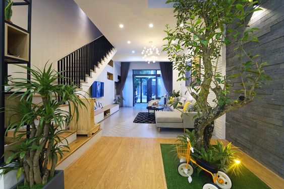 Với vị trí đặc biệt và ánh sáng mạnh phía trên chiếu xuống, cây xanh sẽ là một điểm nhấn đầy thu hút